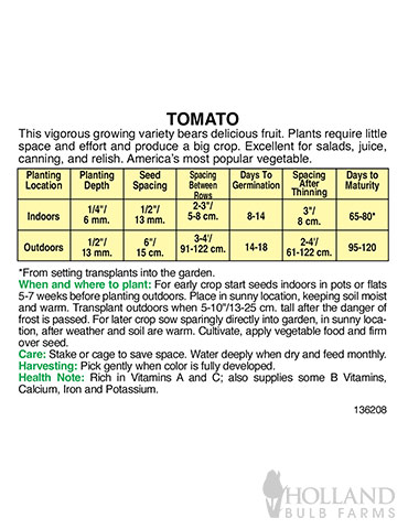 Tomato Yellow Pear - 75581