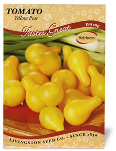Tomato Yellow Pear 