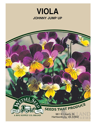 Viola Johnny Jump Up - 75596