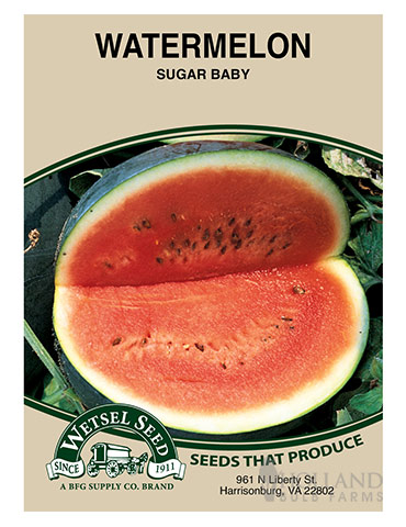 Watermelon Sugar Baby - 75584