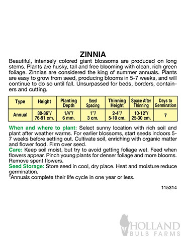 Zinnia California Giant Mix - 75637