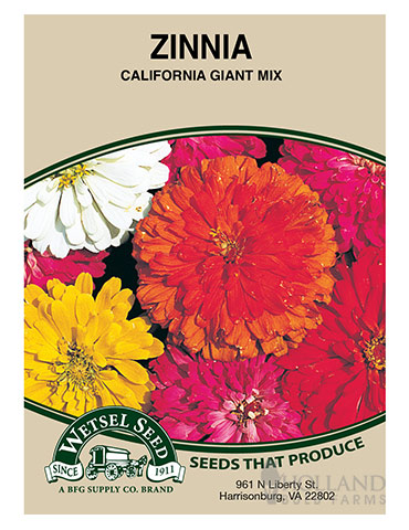 Zinnia California Giant Mix 