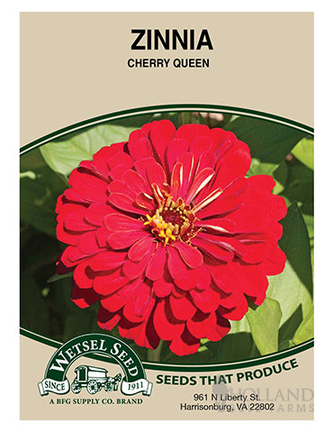 Zinnia Cherry Queen - 75644
