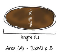 Oval Shaped Garden Diagram