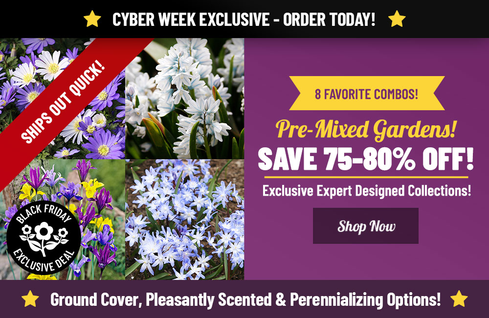 CYBER WEEK EXCLUSIVE: Shop NEW Pre-Mixed Gardens on Sale Now!