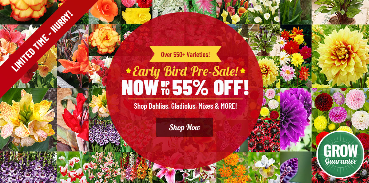 EARLY BIRD SAVINGS: Up To 55% OFF ALL Spring Planted Faves!