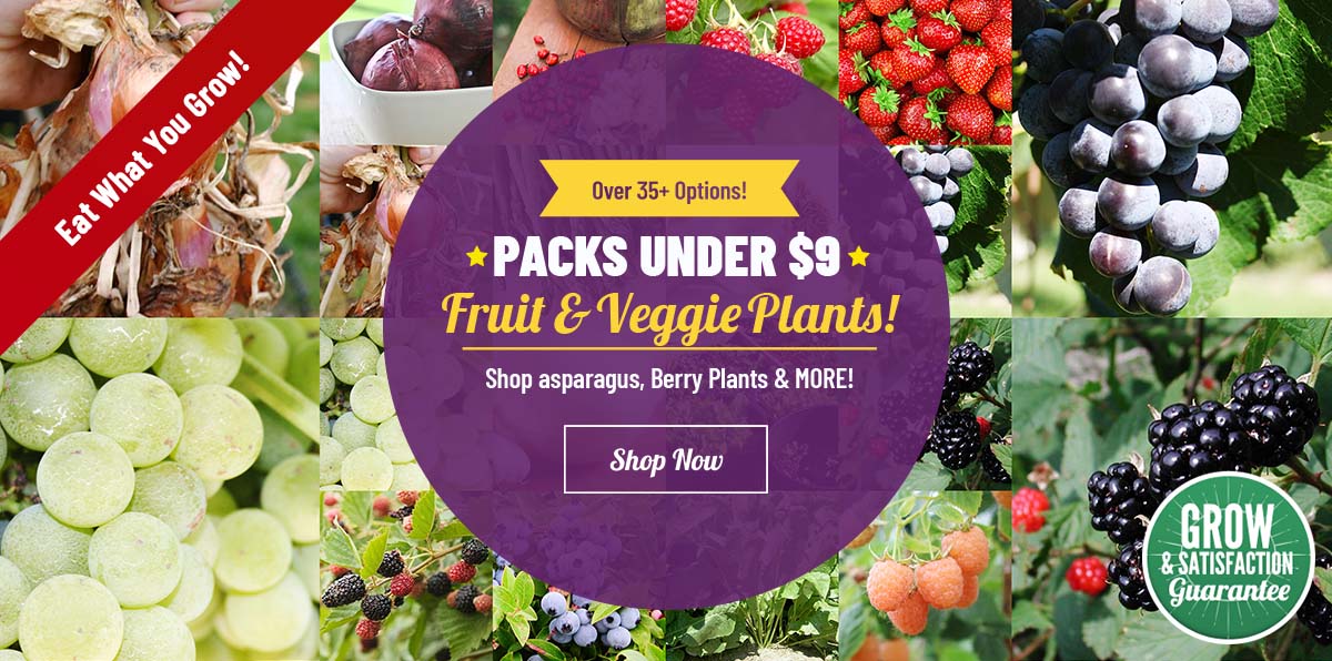 Grow Your Own Food | Fruit & Vegetable Sale