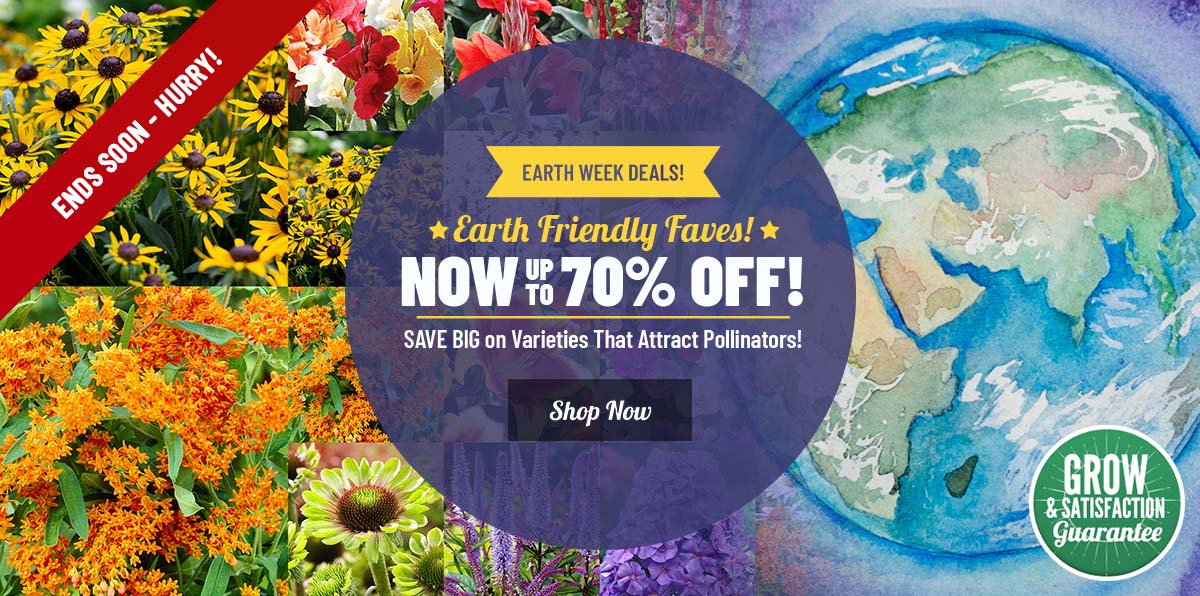 EARTH WEEK DEALS: Up To 70% OFF ALL Pollinator Faves!