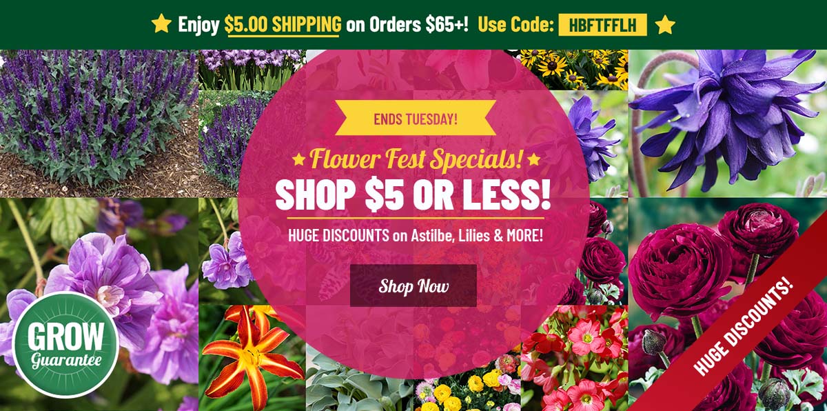 $5 OR LESS FLOWER FEST | SAVE up to 80% OFF ALL 500+ Spring Bulbs!