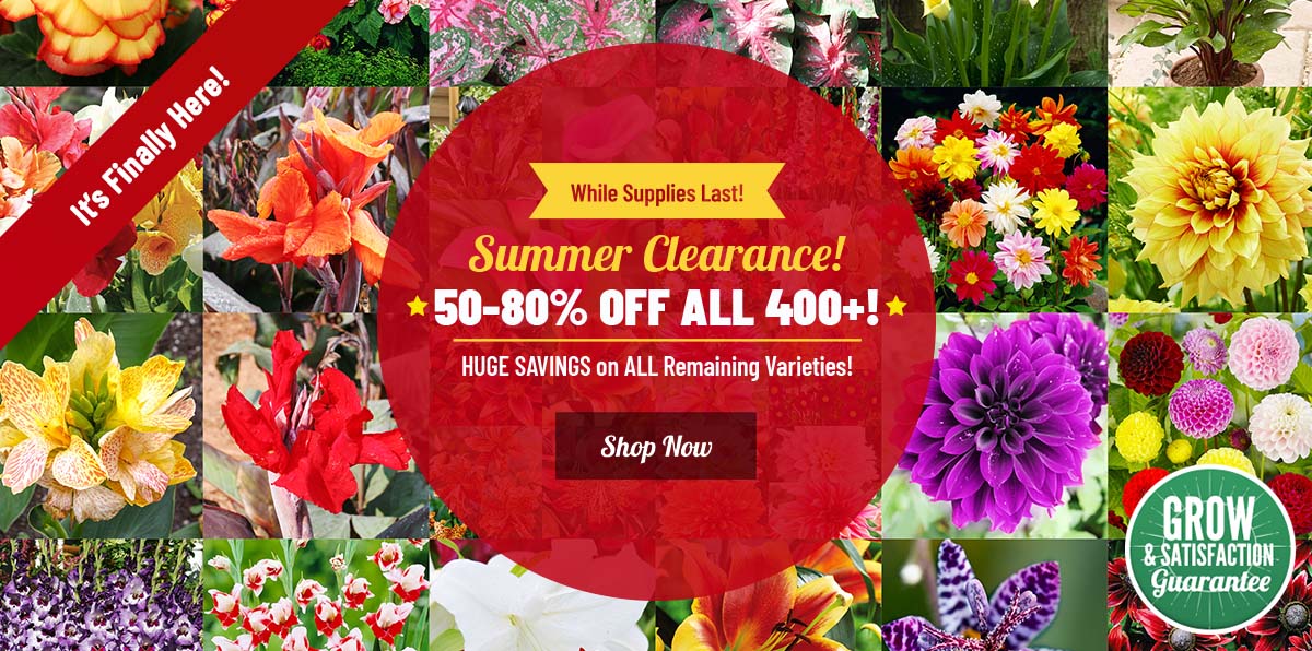 CLEARANCE: 50-80% OFF ALL 400+ Spring!