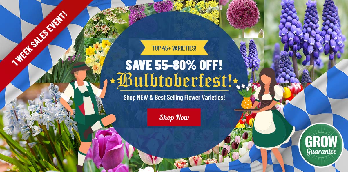 BULBTOBERFEST IS HERE!  50-80% OFF 40+ Fall Faves!