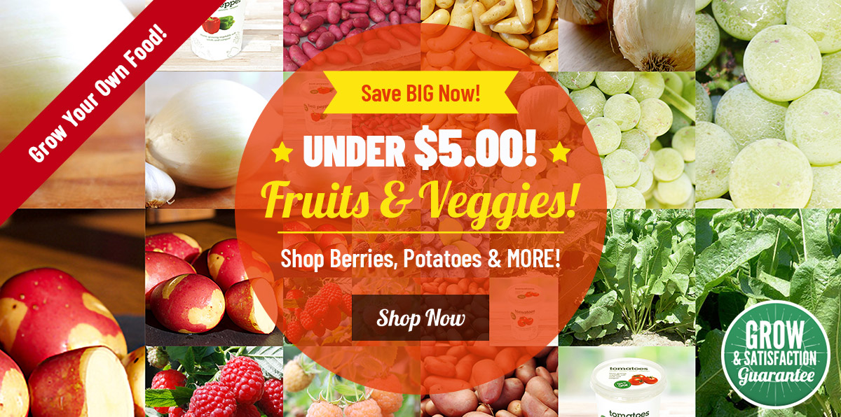 Fruit & Veggies as LOW as $5!