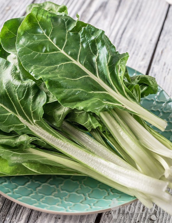 Chard White Stemmed Seeds